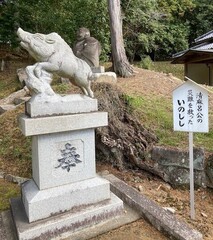 IMG_2761.jpg