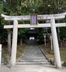 IMG_2762.jpg