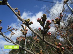 IMG_3567.JPG