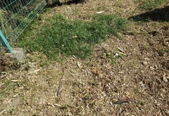 IMG_3846.JPG