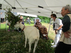 IMG_4236.JPG