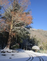 IMG_5214.JPG