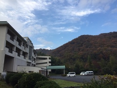 IMG_5504.JPG
