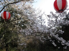 IMG_6971.JPG