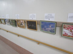 IMG_7168.JPG