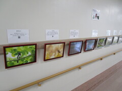 IMG_7169.JPG
