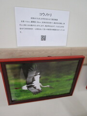 IMG_7170.JPG