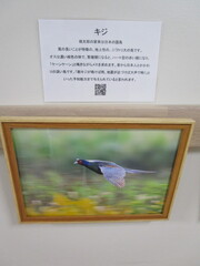 IMG_7171.JPG