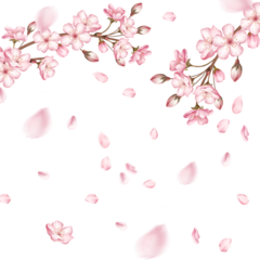 pngtree-spring-light-effect-pink-cherry-blossom-petals-falling-png-image_6105940.png